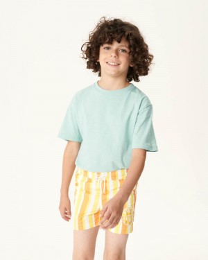 JOTT Cassis Stripe Swim Shorts Barn Citron Vita | CNU-1084